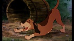 Fox and the Hound picture