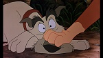 Fox and the Hound picture