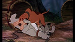 Fox and the Hound picture