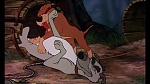Fox and the Hound picture