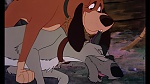 Fox and the Hound picture