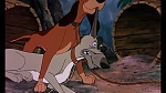 Fox and the Hound picture
