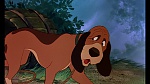 Image Fox and the Hound