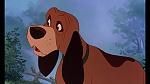 Fox and the Hound picture