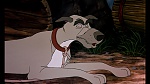 Fox and the Hound picture