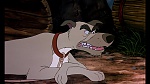 Fox and the Hound picture