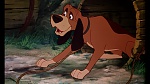 Fox and the Hound picture