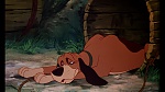 Fox and the Hound picture