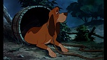 Fox and the Hound picture