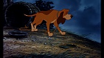 Fox and the Hound picture