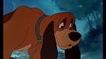 Fox and the Hound picture