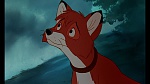 Fox and the Hound picture