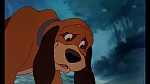 Fox and the Hound picture