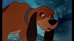 Fox and the Hound picture