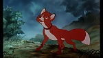 Fox and the Hound picture