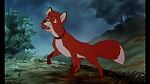 Fox and the Hound picture