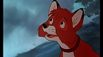Fox and the Hound picture