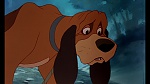 Image Fox and the Hound
