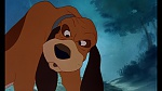 Fox and the Hound picture