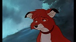 Fox and the Hound picture