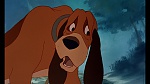 Fox and the Hound picture