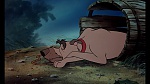 Fox and the Hound picture