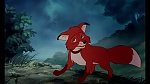 Fox and the Hound picture