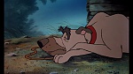 Fox and the Hound picture
