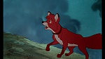 Fox and the Hound picture
