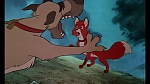 Fox and the Hound picture
