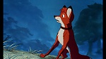 Image Fox and the Hound
