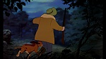 Fox and the Hound picture