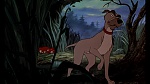 Fox and the Hound picture
