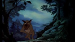 Fox and the Hound picture