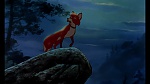 Fox and the Hound picture