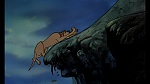 Fox and the Hound picture