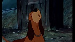 Image Fox and the Hound