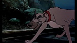 Fox and the Hound picture