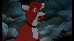 Image Fox and the Hound