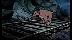 Image Fox and the Hound