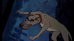 Image Fox and the Hound