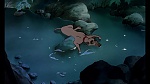 Image Fox and the Hound