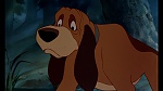 Image Fox and the Hound