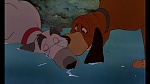 Image Fox and the Hound