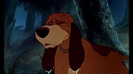Image Fox and the Hound