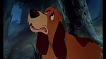 Image Fox and the Hound