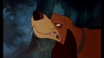 Image Fox and the Hound