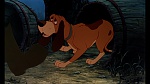 Image Fox and the Hound