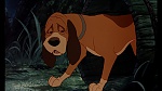 Image Fox and the Hound