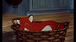 Image Fox and the Hound